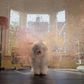 dulux life is what you paint it ogilvy uk