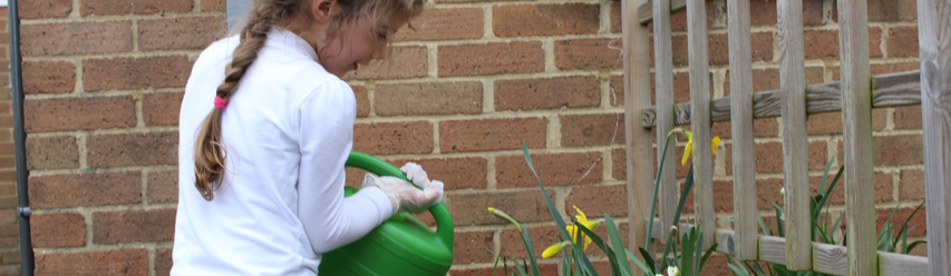 The Significance of Teaching Children about Sustainability