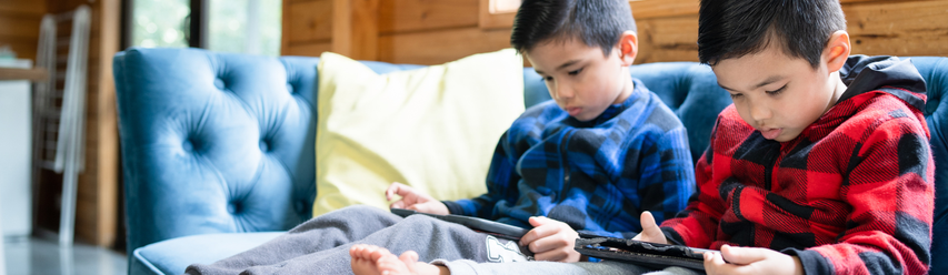 Two young boys in plaid shirts sit on a blue couch, focused on tablets, with a bright window in the background.
