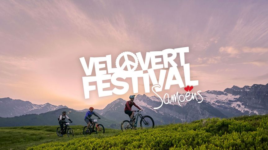 Velo Vert Festival logo