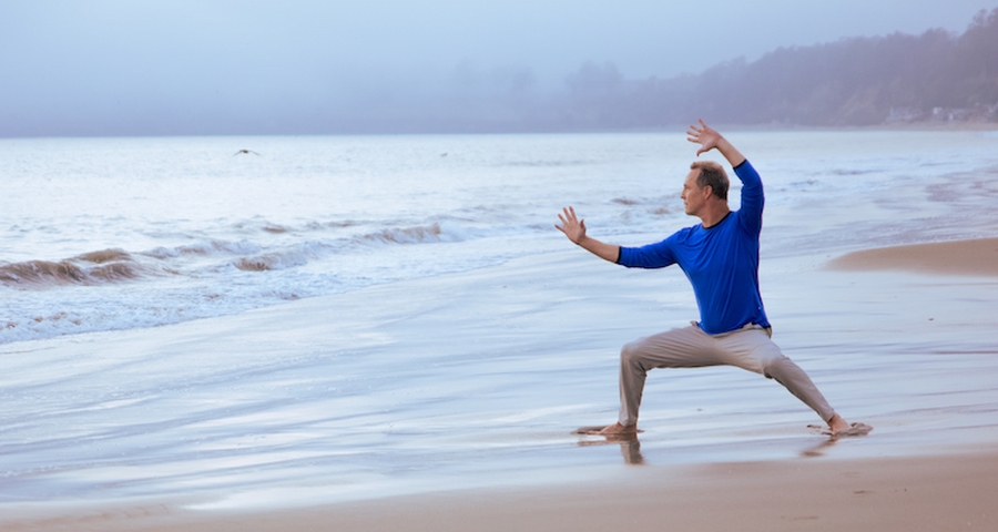 Kan and Li Online Course | Harness the Power of Alchemical Qi Gong with ...