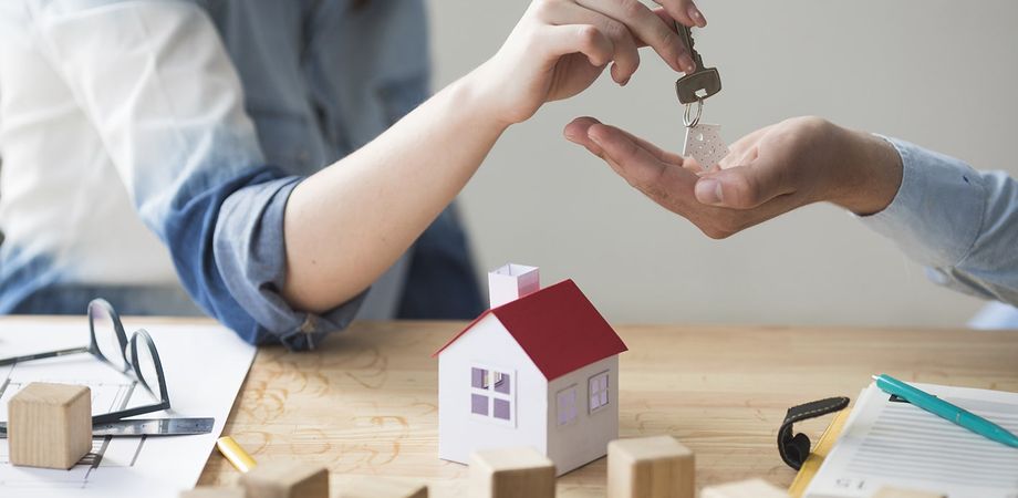 investissement locatif choisir maison ou appartement