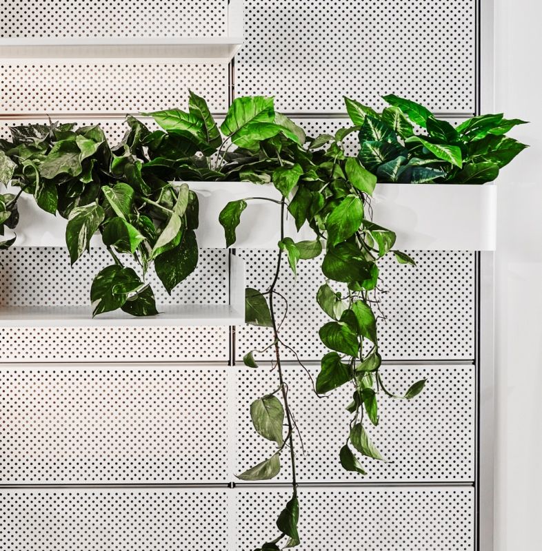 Wall-Mounted Planters