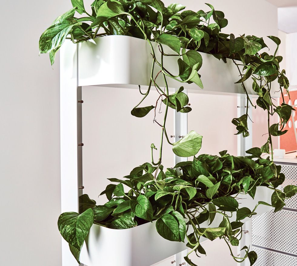 Tall Rolling Walls with Wall Planters