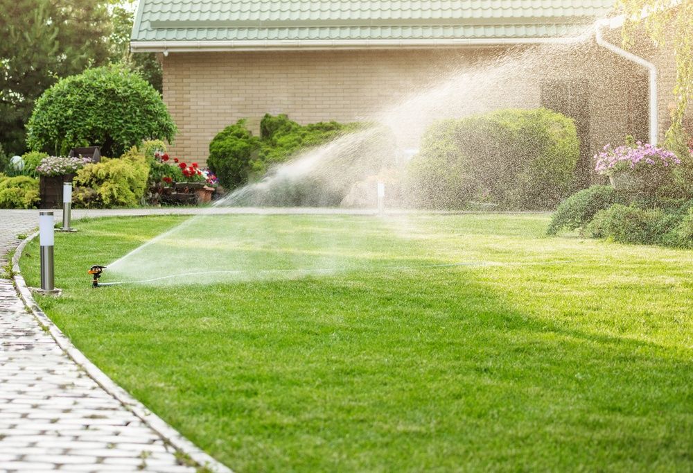 Wie oft sollten Sie Ihren Rasen wssern: Ihr Bewsserungsratgeber |  Wasserpumpe.de - Wasserpumpe.de