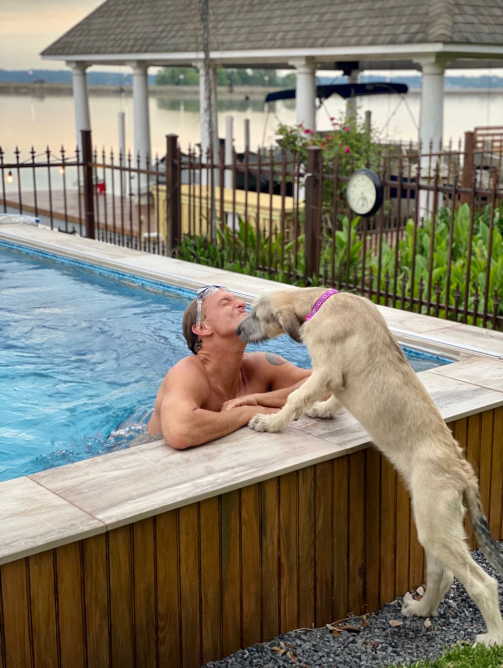 A picture of a man standing at the edge of an outdoor pool, leaning up to let his dog lick him.