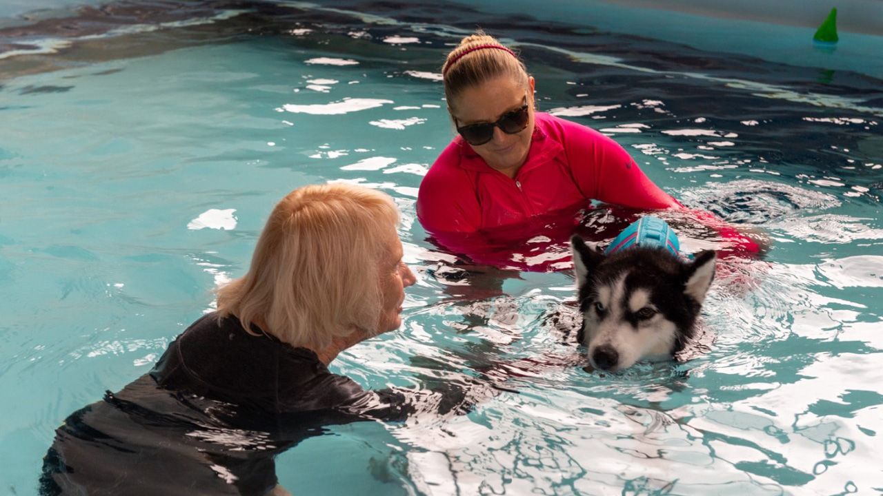 Canine Hydrotherapy Endless Pools