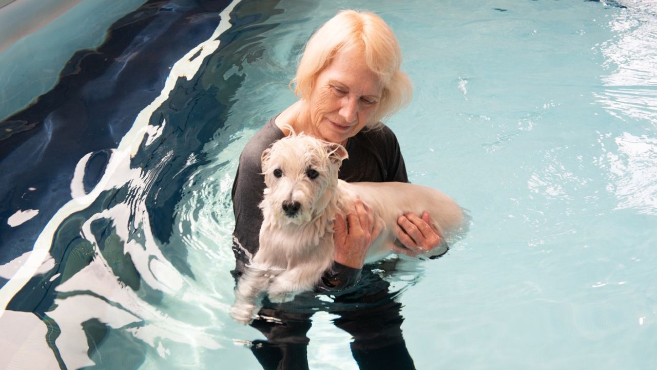 Canine Hydrotherapy Endless Pools