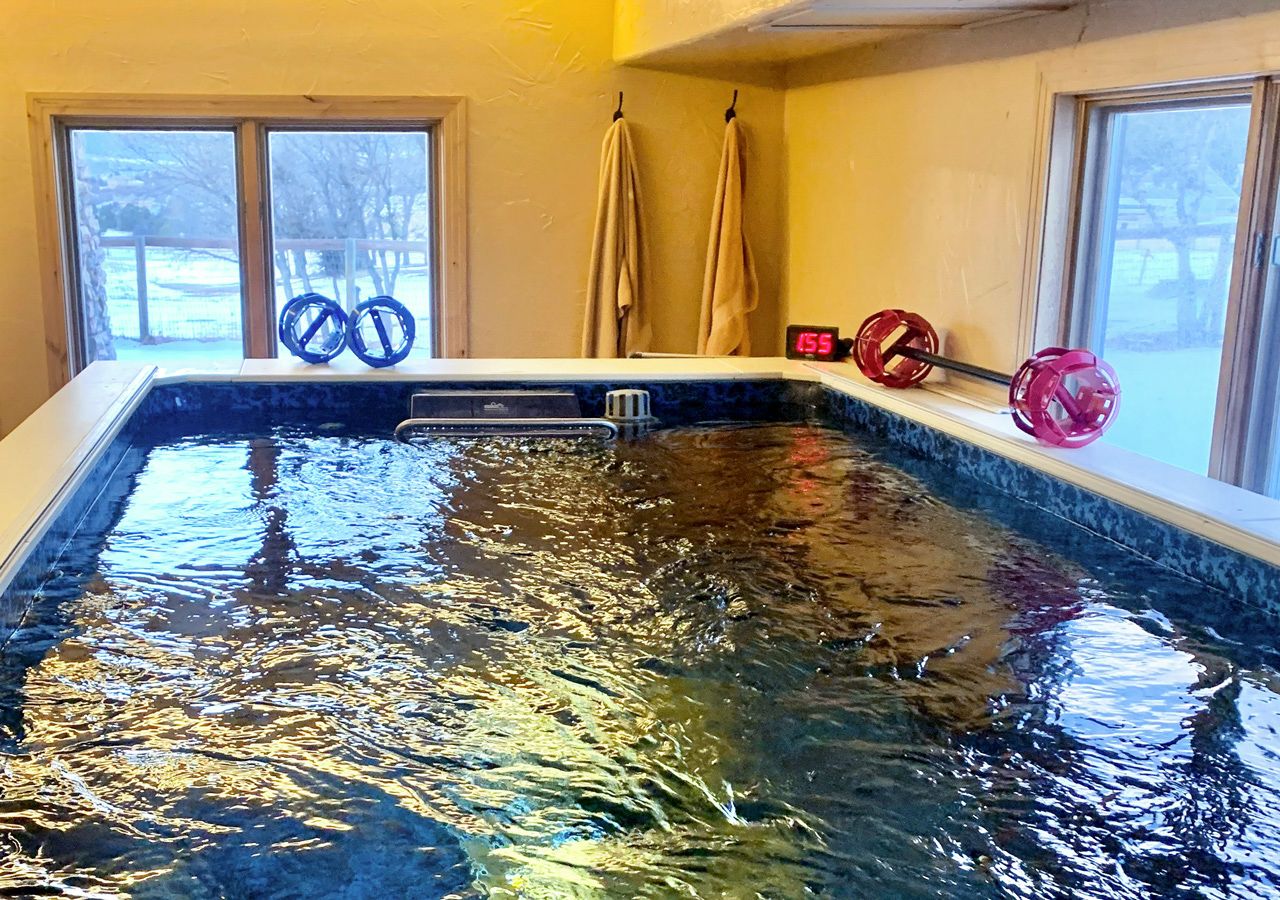 picture of Endless Pools basement pool on a snowy day