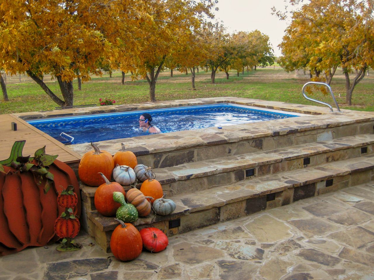 A picture of an outdoor pool in autumn, surrounding by trees losing their leaves and pumpkins.
