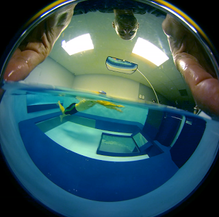 An Endless Pools swimming machine shot with a 360-degree camera