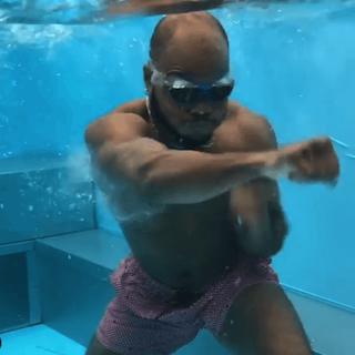 picture of boxer doing an underwater workout in an Endless Pools Original Series pool