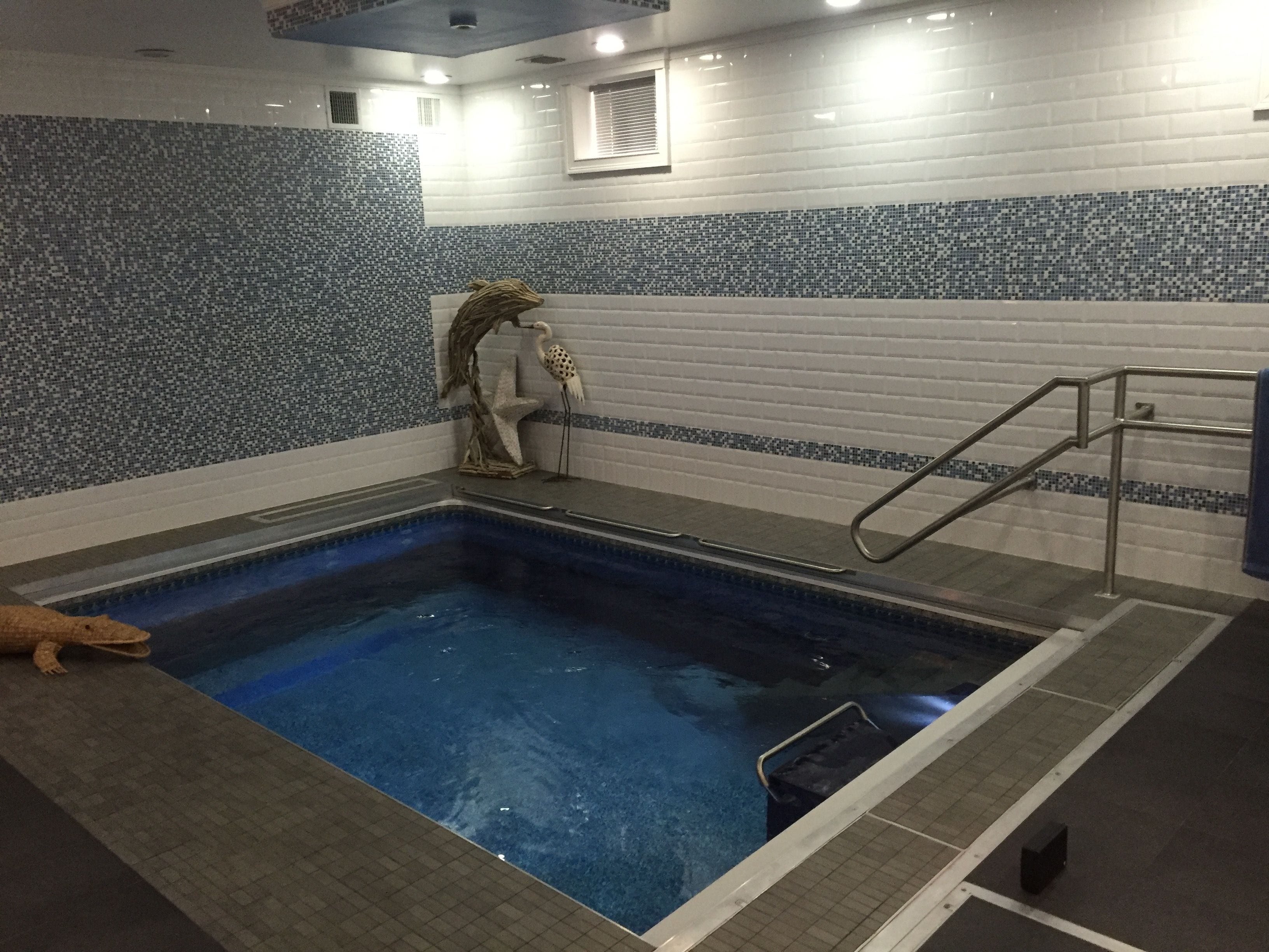 an Endless Pool used for aquatic therapy to treat cerebral palsy