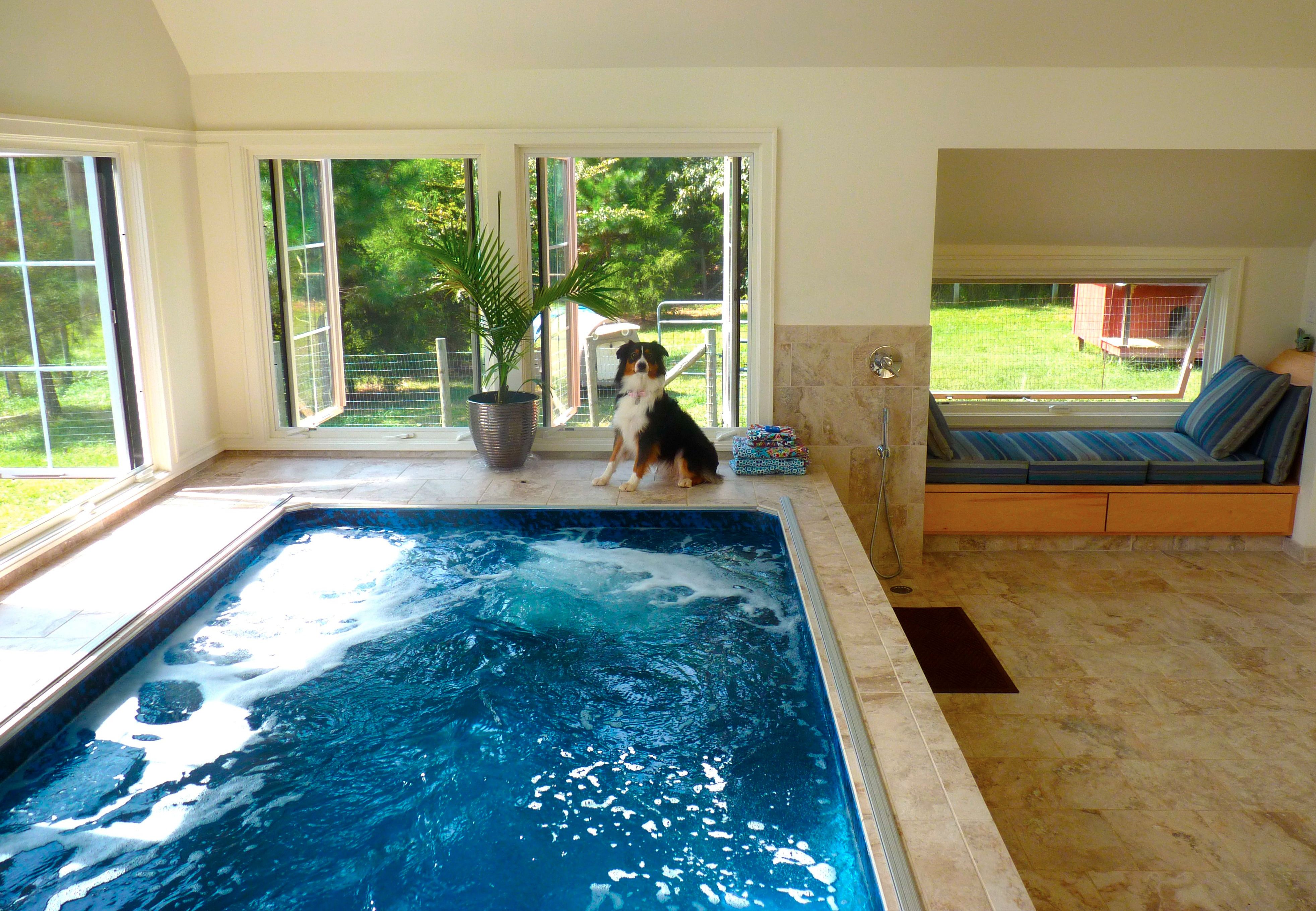 A dog sits alongside an indoor Endless Pools swimming machine