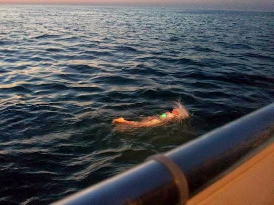 Open water swimmer Katie Benoit 4 hours into her successful English Channel swim