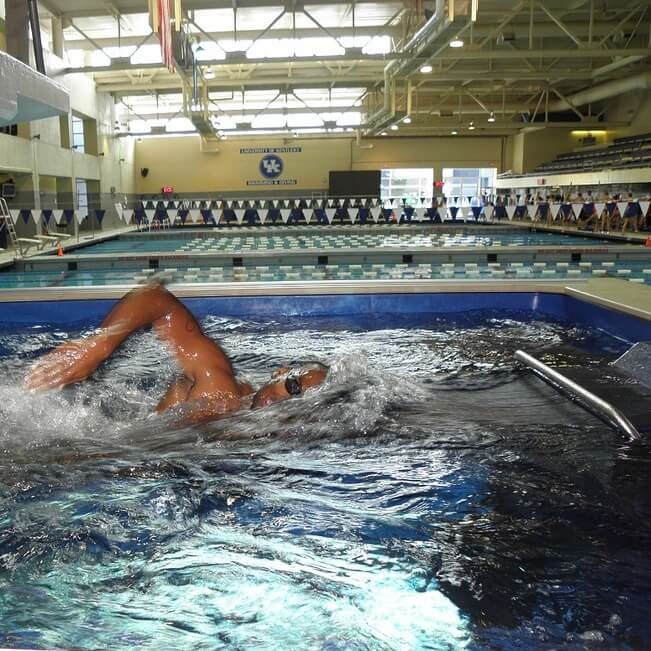 picture of a freestyle swimmer in the Elite Endless Pool
