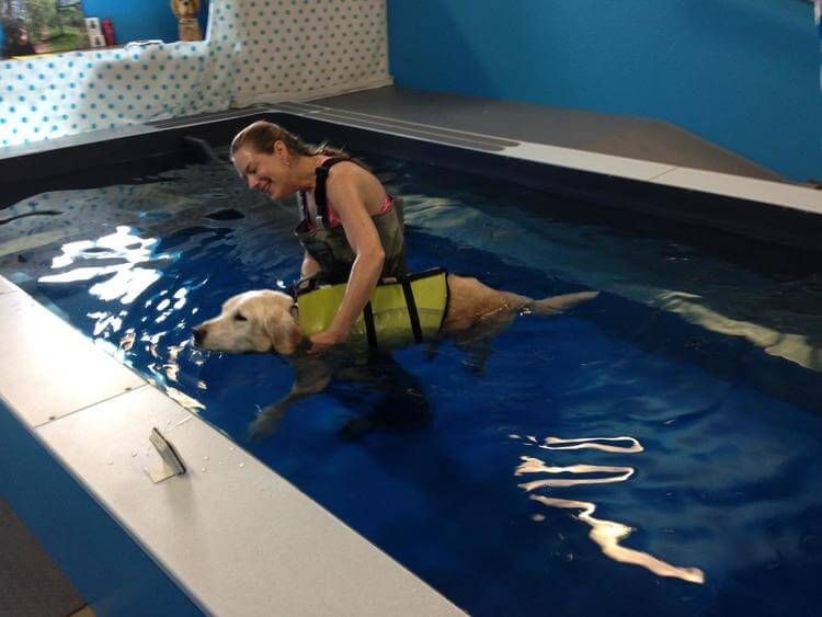Varen Chapman takes a dog through an aquatic therapy session in her Original Endless Pool
