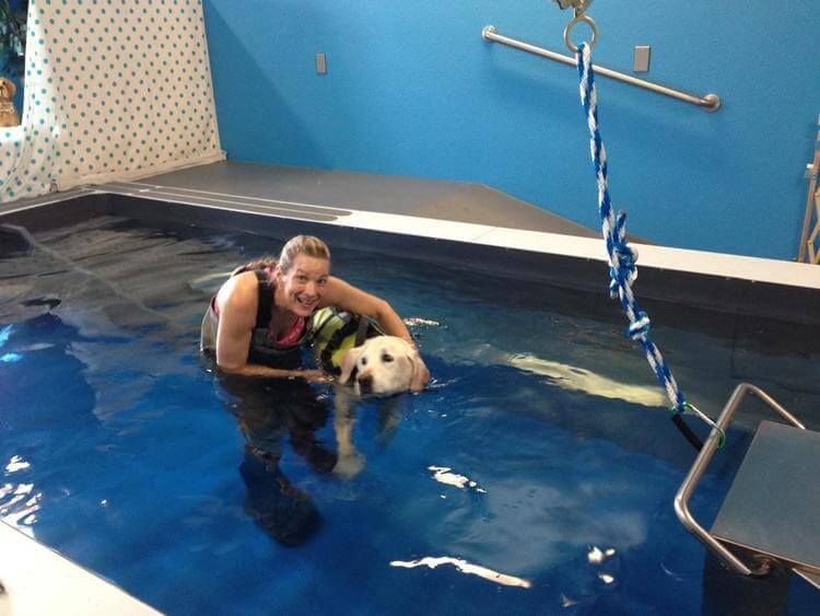 picture of canine therapist treats a dog with arthritis in an indoor aquatic therapy pool