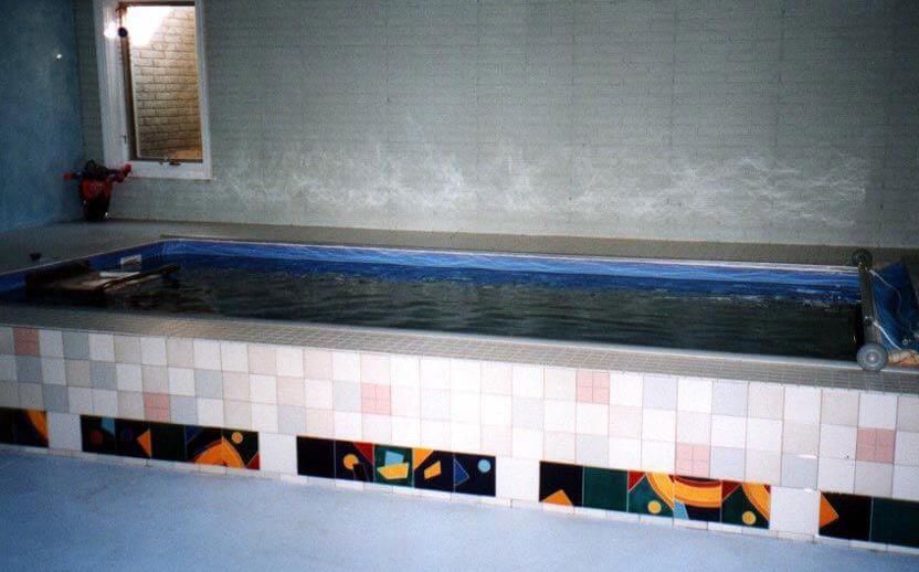 Tish's indoor Endless Pool used for aquatic therapy for her lupus