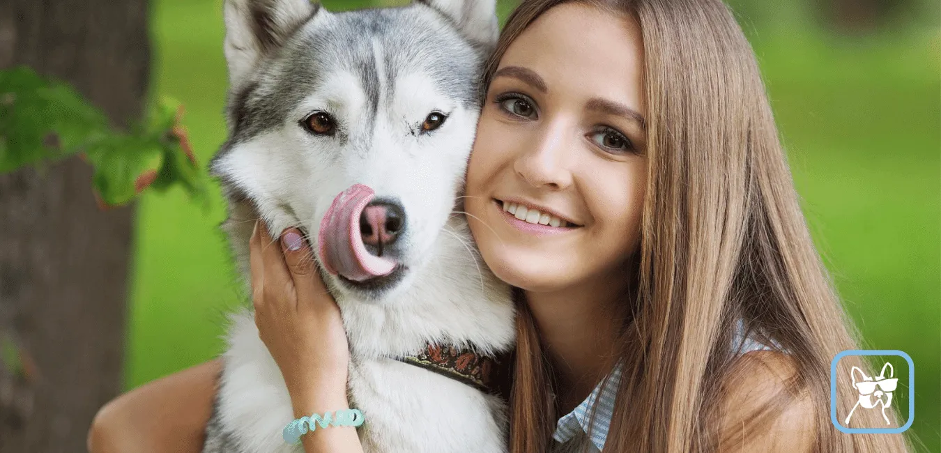 🐶 Cómo convertirse en cuidador de perros de mascotas en general | Holidog España