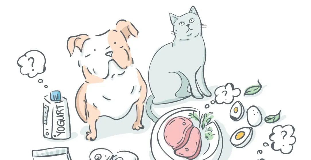 La corretta alimentazione di cani e gatti