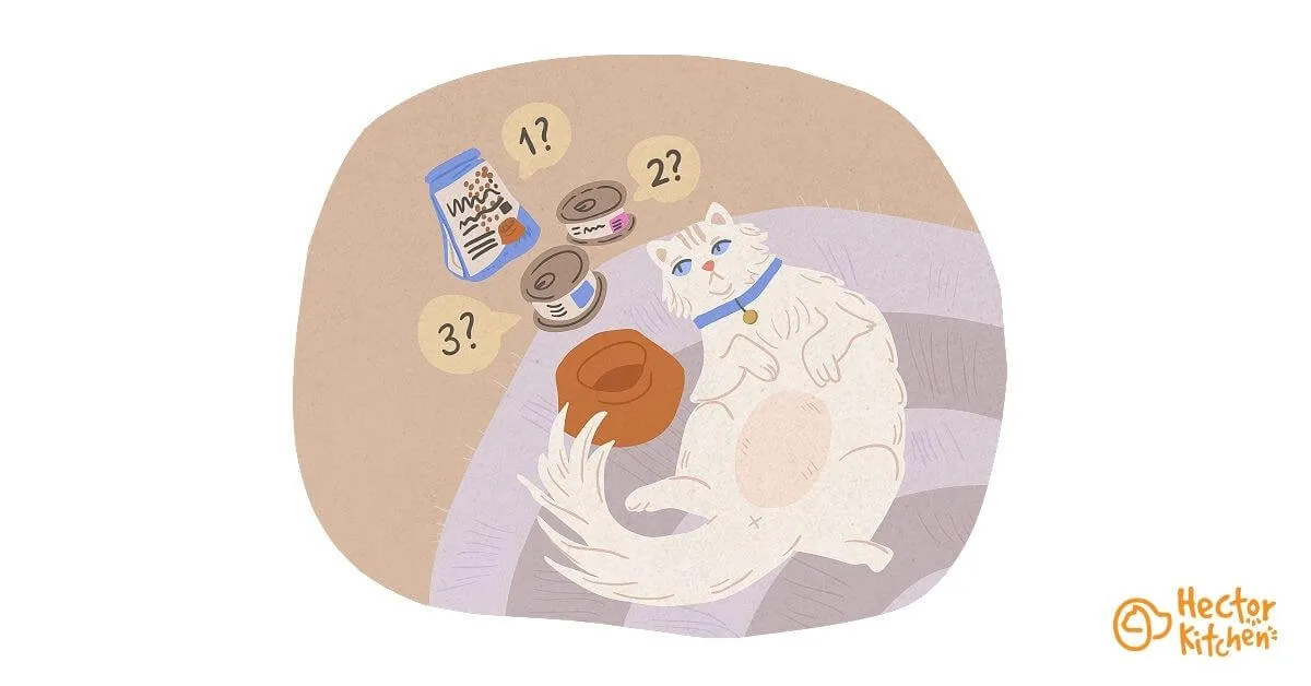 Les croquettes pour chat diabétique