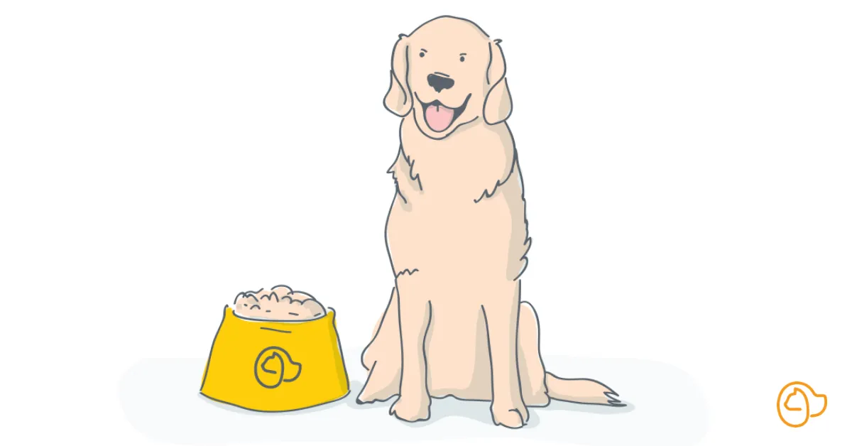 Ideal Dog Food for a Labrador