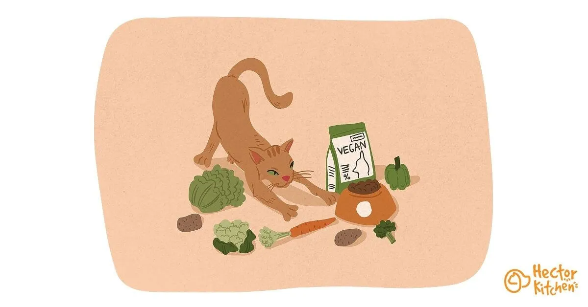 Peut-on donner des croquettes vegan à son chat ?