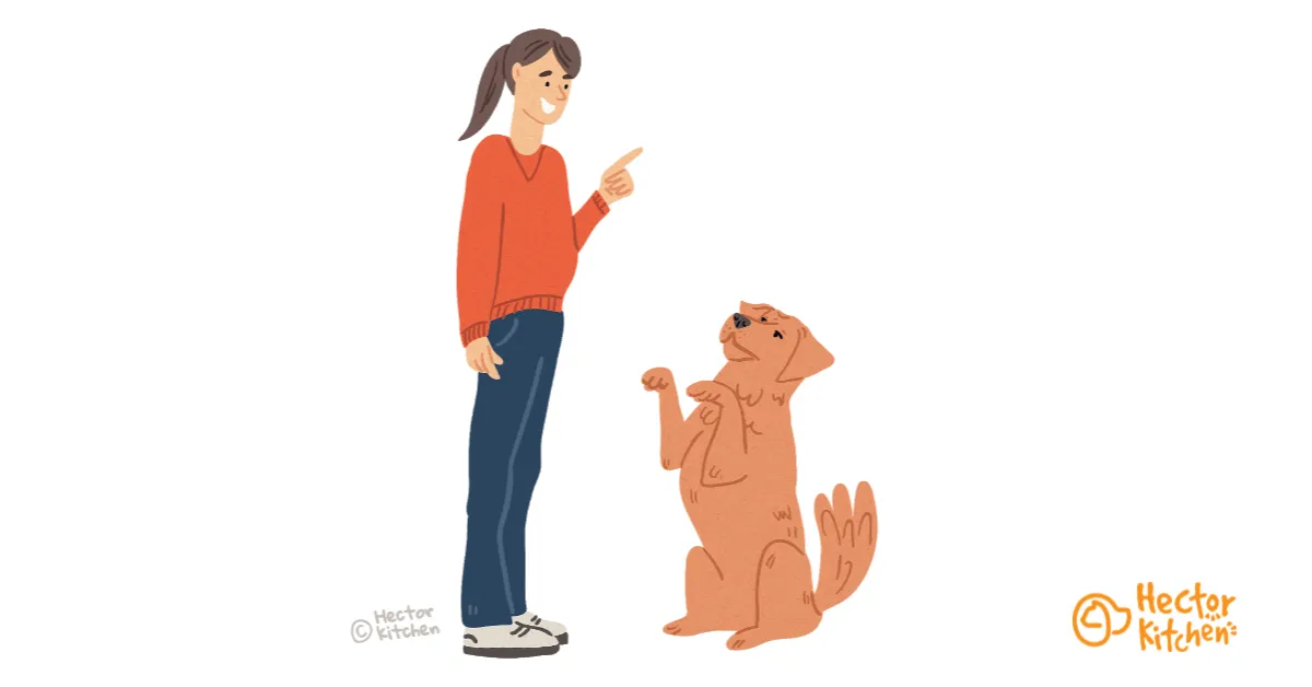 Adiestrar y educar a tu perro