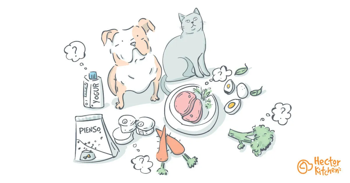 La correcta alimentación de perros y gatos