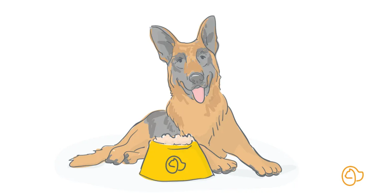 Ideal dog food for your German Shepherd