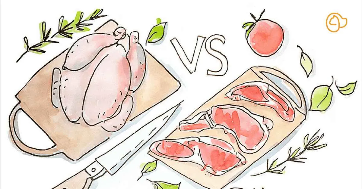 Carne blanca vs carne roja para perros y gatos