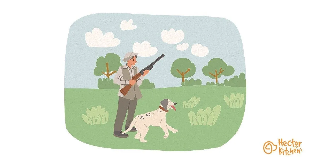 Adopter un chien de chasse : tout savoir