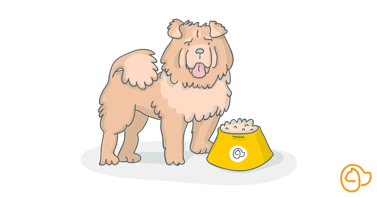 Ideal dog food for Chow Chow