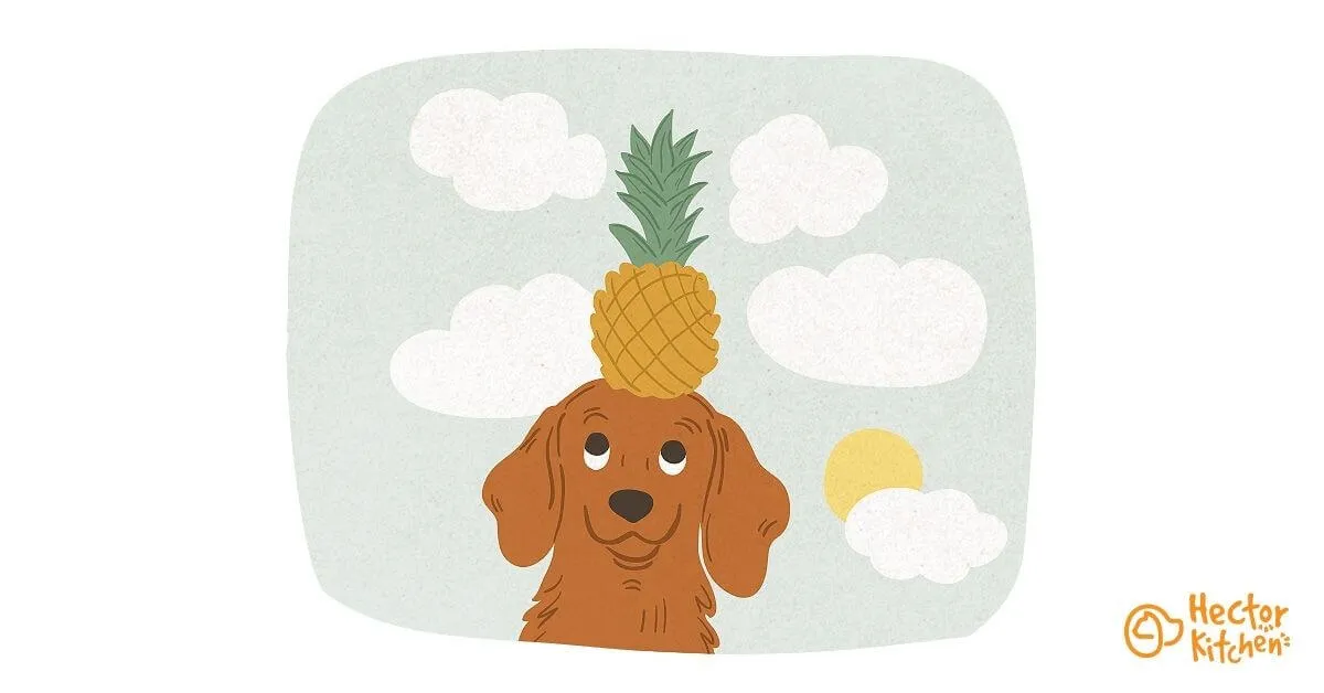 Peut-on donner de l'ananas à un chien ?