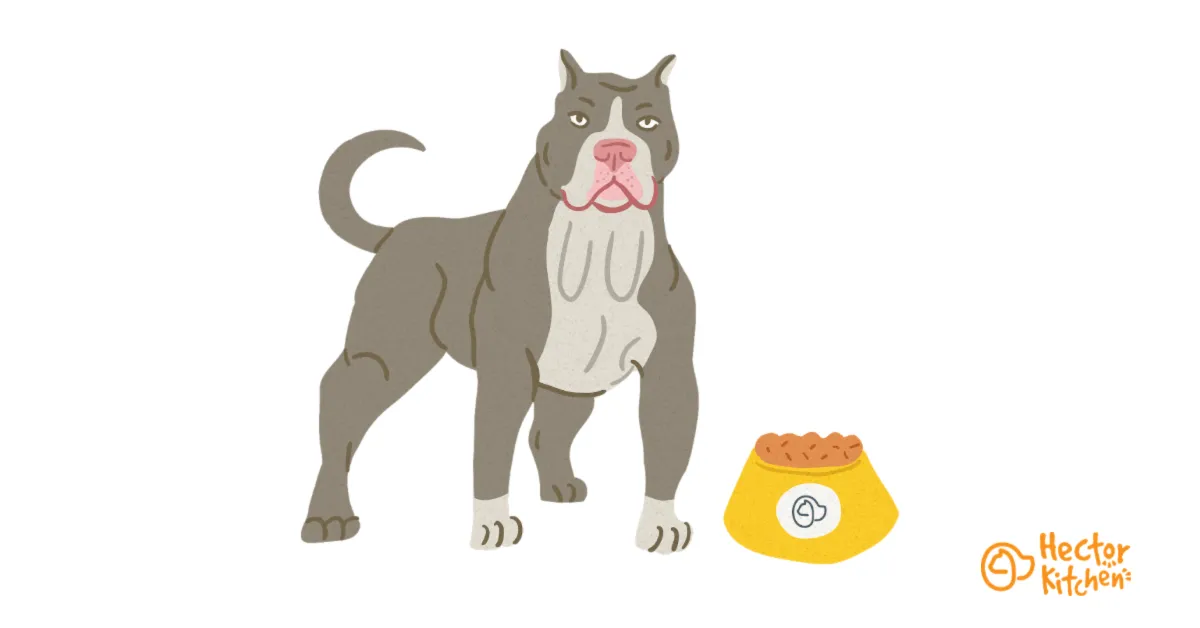 Ideal dog food for Pit Bull