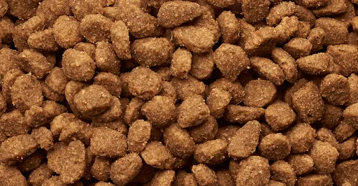 Kohlenhydrate Hundefutter