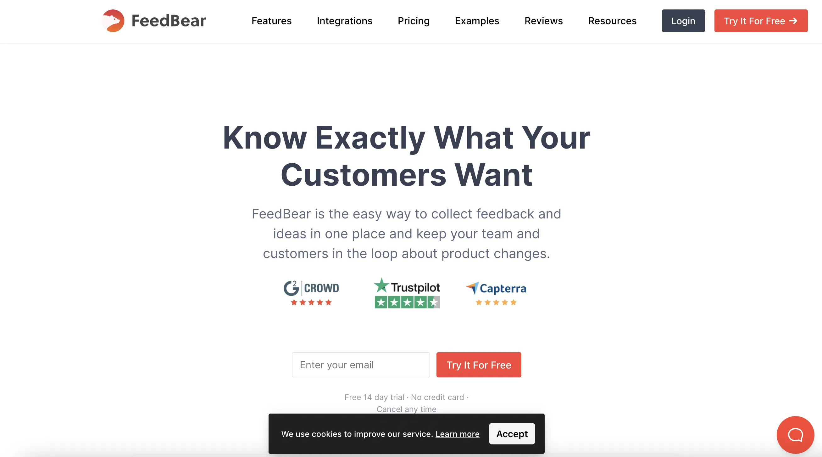 Feedbear home page screenshot feature voting tool
