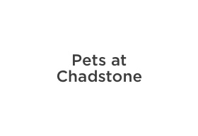 Pets at Chadstone