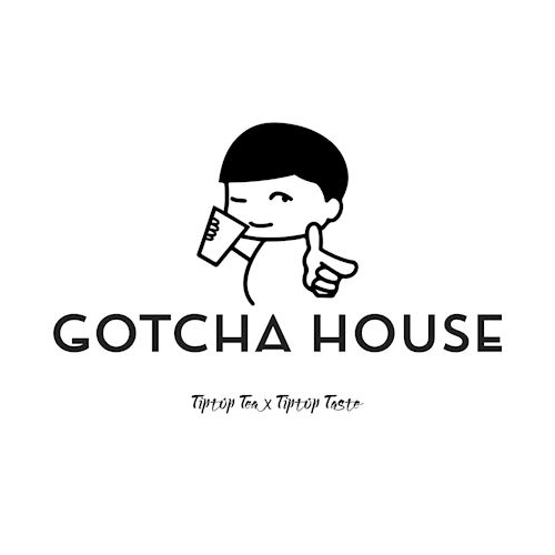 GotCha House