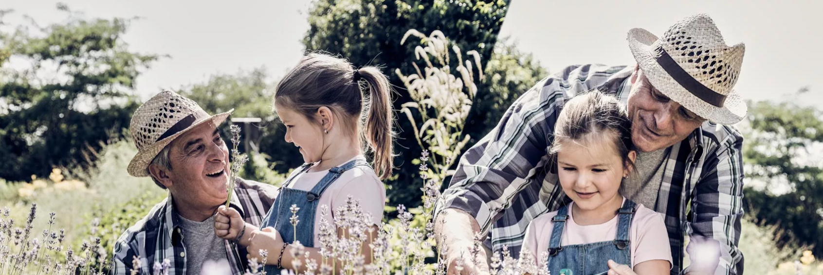 Teste die neue und intelligente Suche auf gesundheitspark.at