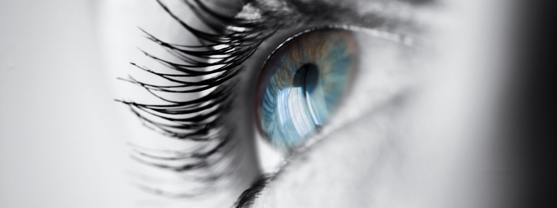 Neuer Partner sorgt für gesunde Augen und scharfes Sehen