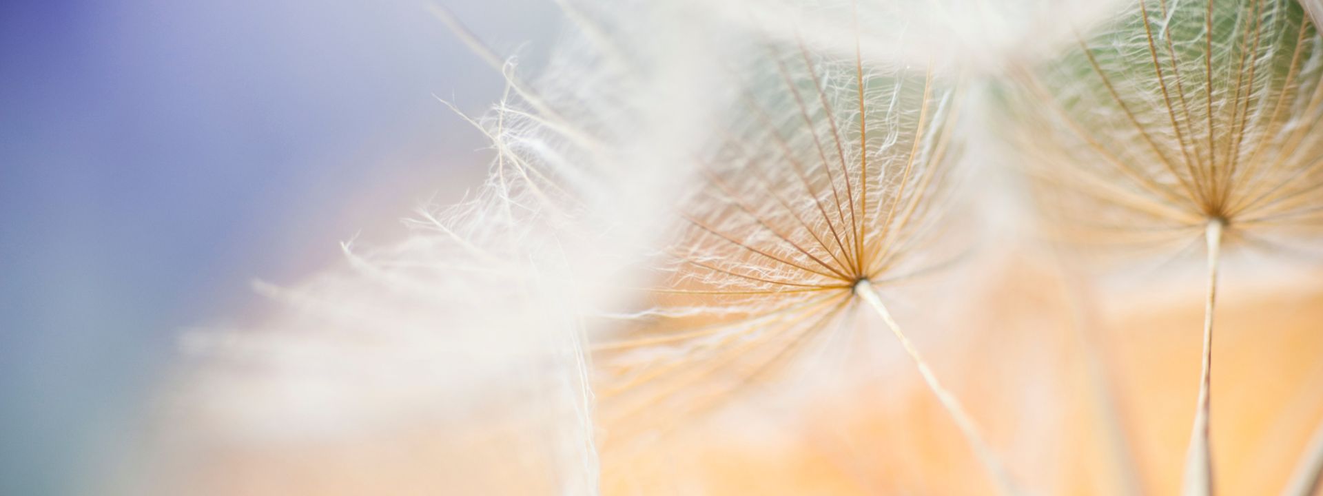 Kostenloser Vortrag: Wenn die Seele durch den Körper spricht