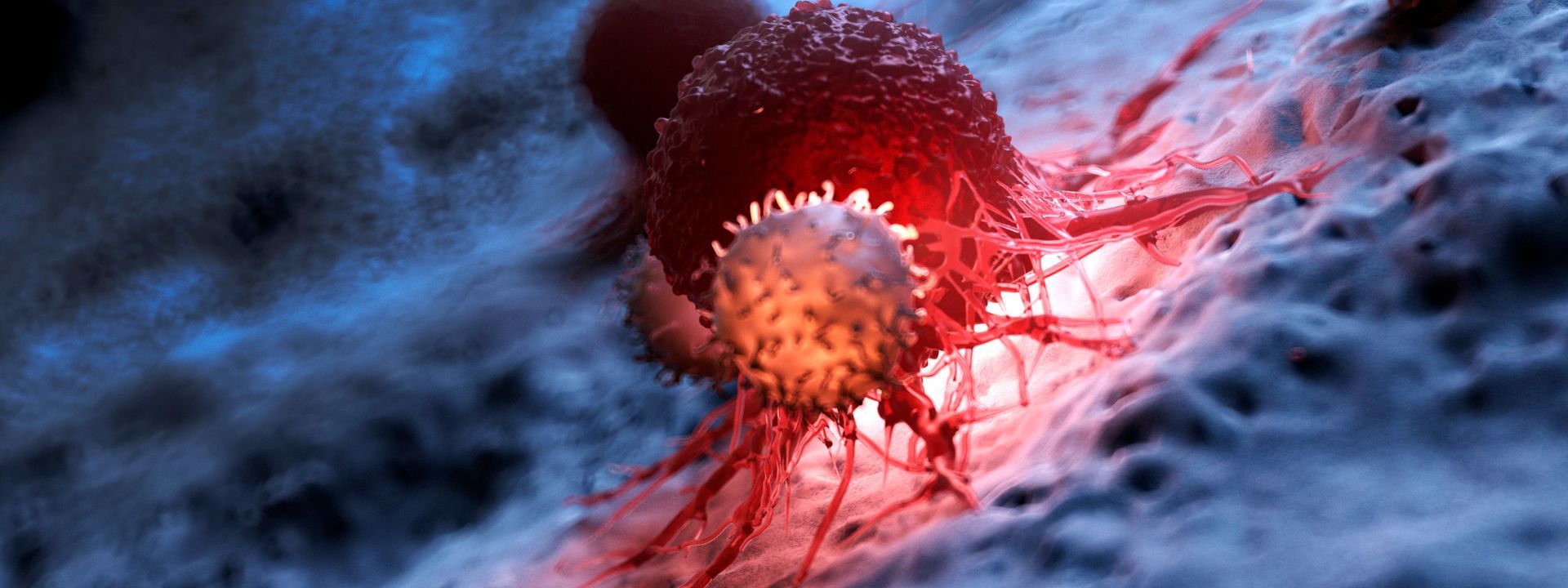 Begleitung in schwierigen Lebenssituationen