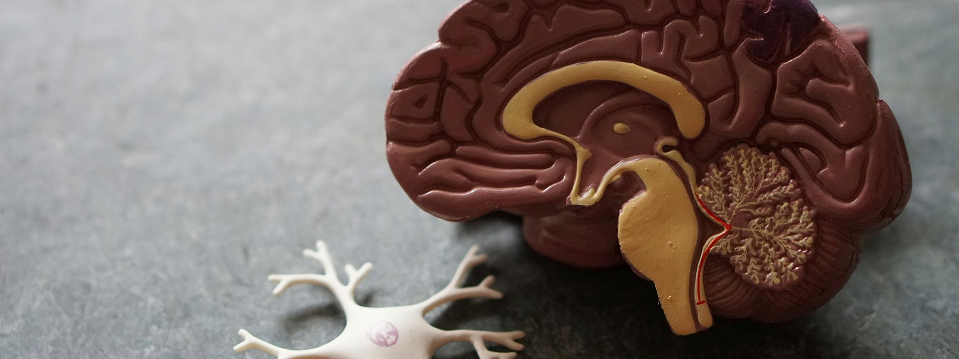 Neurologie braucht Zeit und Genauigkeit