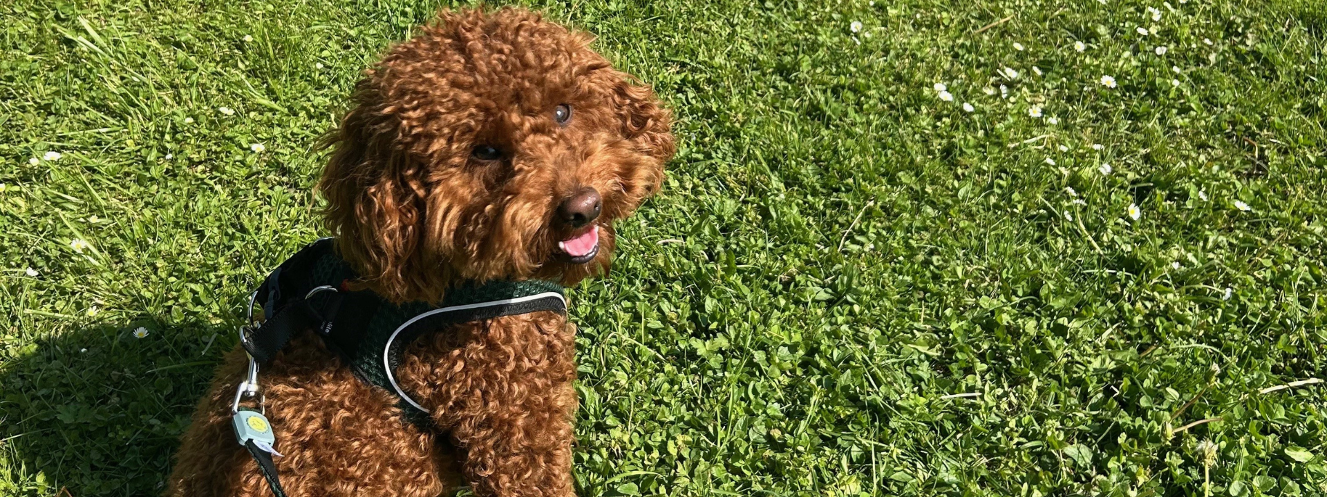 "redenwir" über psychische Gesundheit