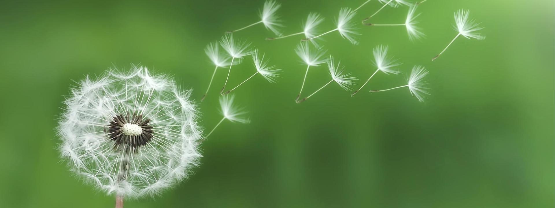 Vortrag: ATEM - Schlüssel zu Präsenz, Klarheit & innerer Ruhe