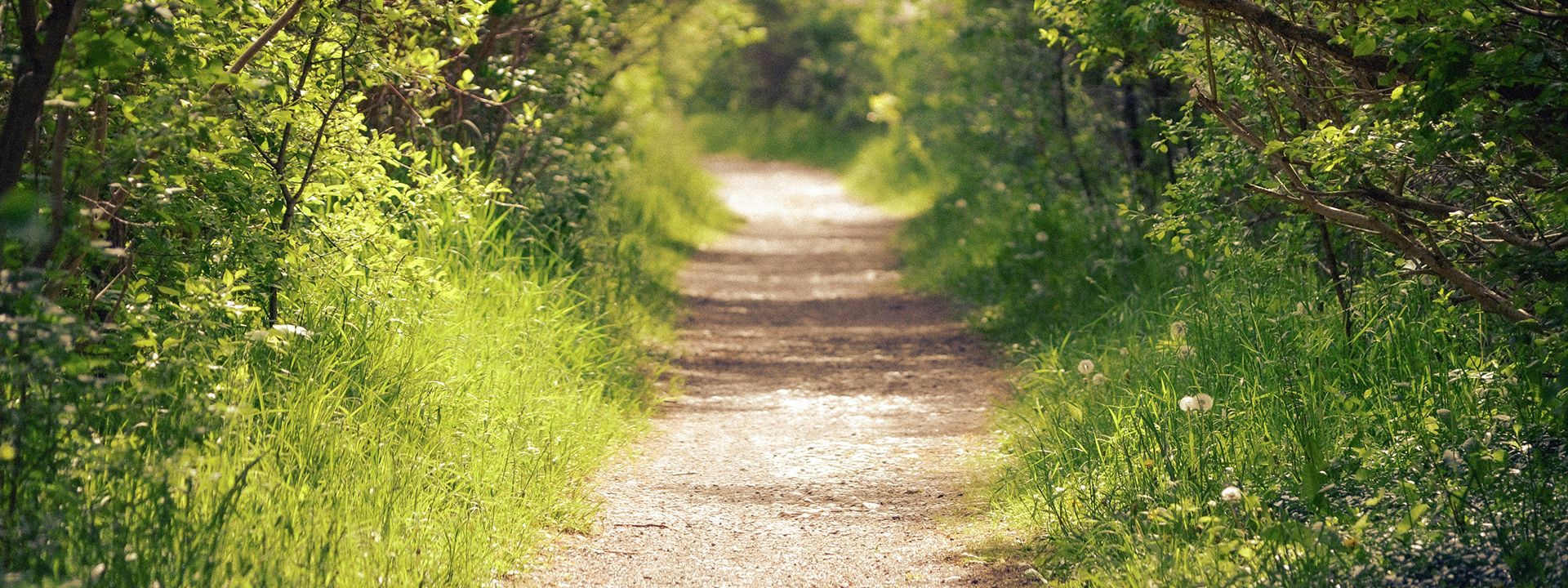 Nicht allein mit Depression oder Burnout