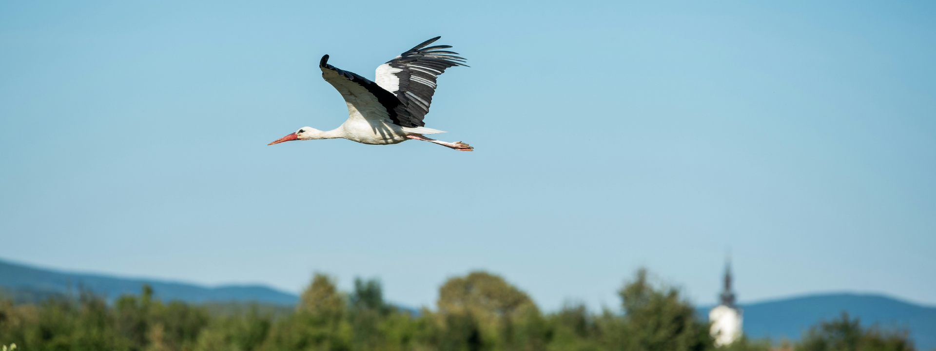 Einladung: Ausflug nach Schloss Hof und Marchegg