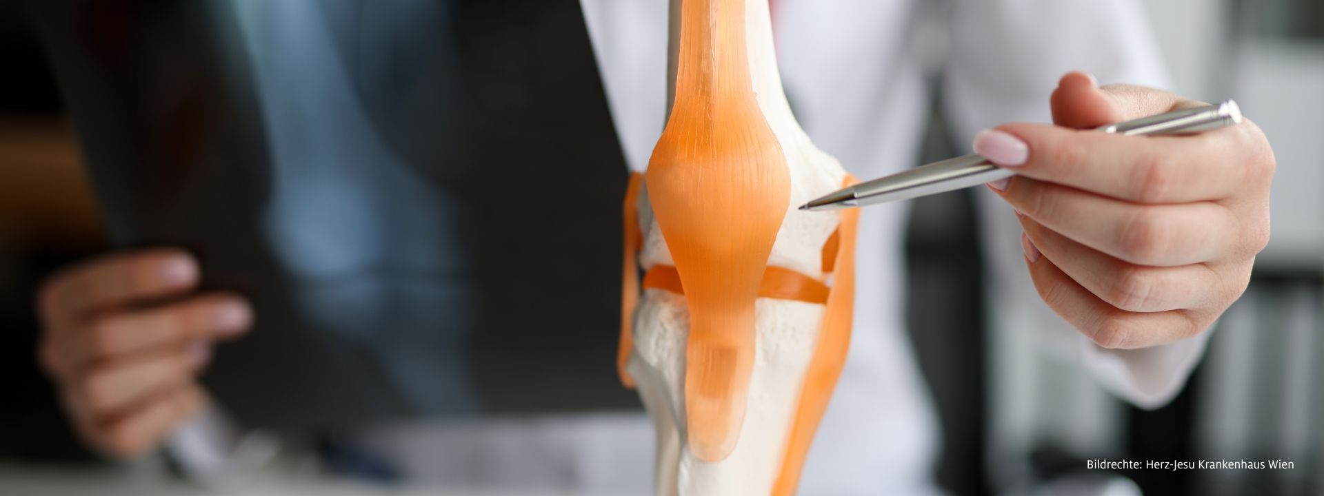 Kostenloser Infoabend: Konservative Behandlungsmethoden bei Arthrose